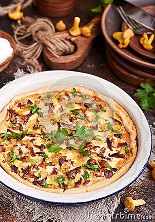 Quiche open tart pie with chicken meat, chanterelles mushrooms, onion and cheese Stock Photo